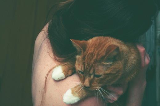 关于合作的成语和名言