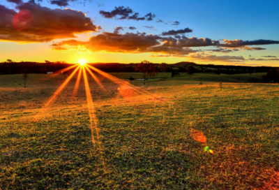 ​关于春风的诗句有哪些（春天如约而至唯美句子）