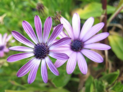 ​梦见参加葬礼（梦见参加葬礼人又活了）