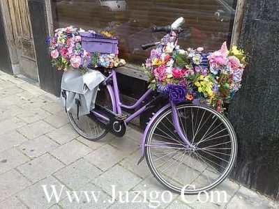 ​祝老婆晚安祝福语大全(精选28句)