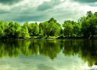 ​关于女性独立的名言