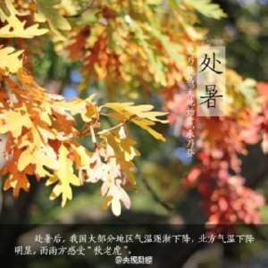 ​名人传句子赏析50条（名人传赏析句子20句自带赏析）