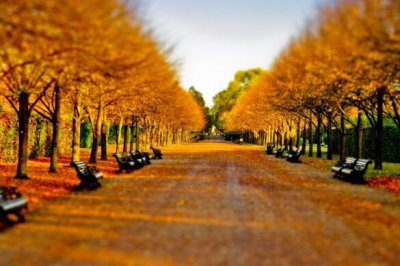 ​孝敬父母的名言警句