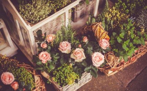 医生人生格言大全