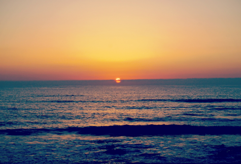 1687319975243732.png image.png