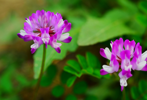 1688564856586738.png image.png