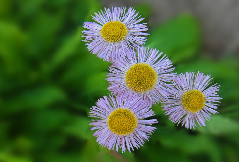 1688567541440559.png image.png