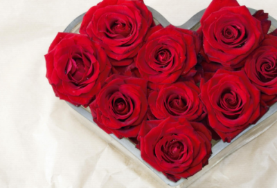 ​江南逢李龟年杜甫古诗（江南逢李龟年全诗意思）