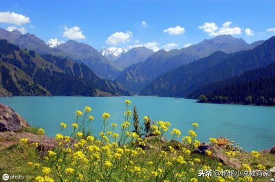 ​《七月》节选 四年级下册语文书七月的天山全文