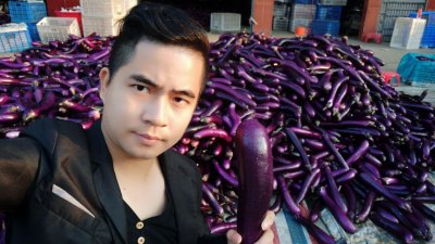 ​茄子的做法步骤图 茄子的做法大全家常菜做法大全视频教程