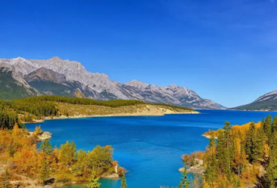 ​报效祖国的诗（描写青年报效祖国诗词）