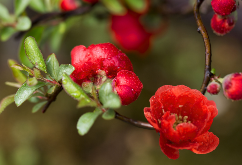 1688677777133777.png image.png