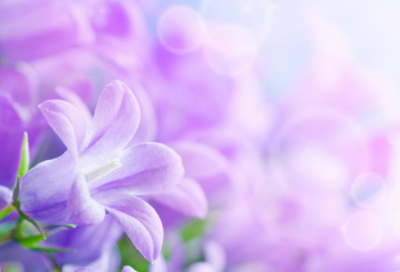 ​登幽州台歌古诗（登幽州台歌全诗赏析）