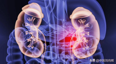 ​滋肾阴的药 滋肾阴食疗