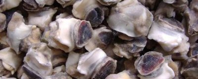 ​海螺冻上行吗[海螺丝能冻吗]