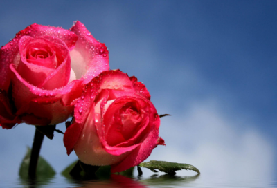 ​前出塞杜甫翻译及赏析（前出塞古诗的意思翻译）