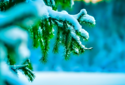 ​玉楼春古诗欧阳修（玉楼春欧阳修诗歌鉴赏）