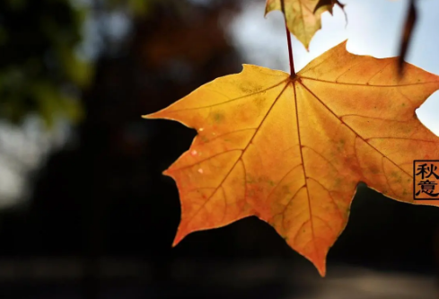 1688708262744062.png image.png