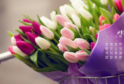 ​渔家傲范仲淹拼音版古诗（渔家傲范仲淹赏析）