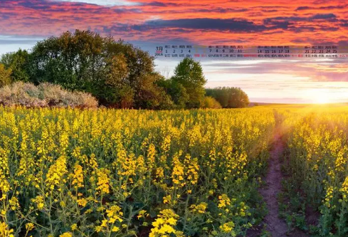 1688742209140184.png image.png