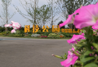 ​立春偶成古诗翻译（立春偶成的赏析）