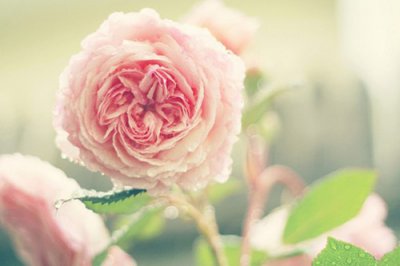 ​关于读书的名言俗语95句