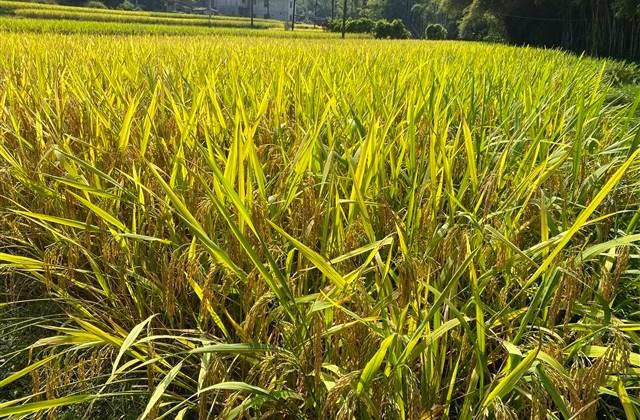 适合搞笑发朋友圈的句子(优选200句)