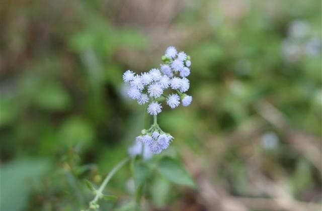 对祖国的祝福语与祖国同一天生日感言