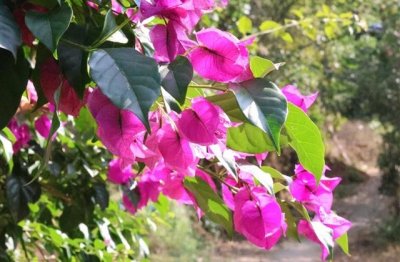 ​朋友圈安慰的简短的话