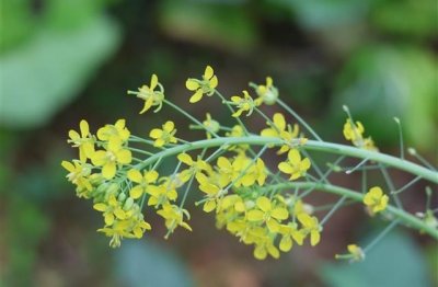 ​人到落魄的时候的句子(47句)