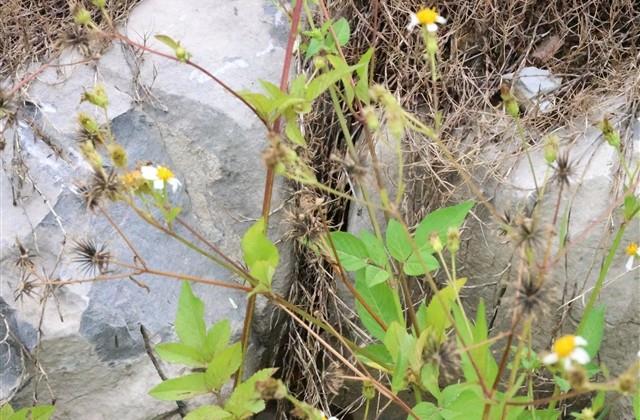 每日收获正能量一句话