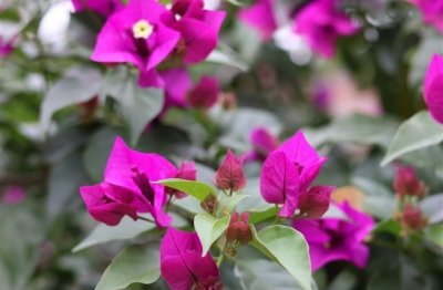 ​出车祸人没事的说说