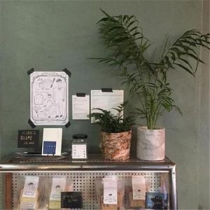 ​对生命执着的热爱的名言 关于珍爱生命的名言