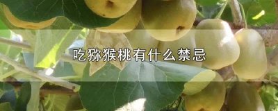 ​猕猴桃的食用禁忌是什么 猕猴桃的食用禁忌有哪些