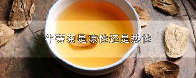 ​牛蒡茶属寒性还是热性 牛蒡茶是寒性的还是热性的呀对吗