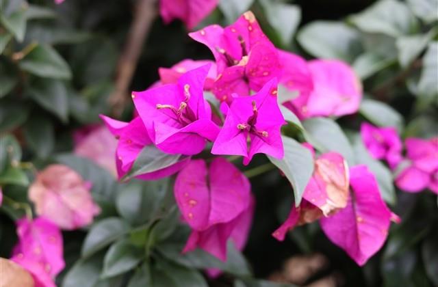 时间真的可以淡忘一个人说说