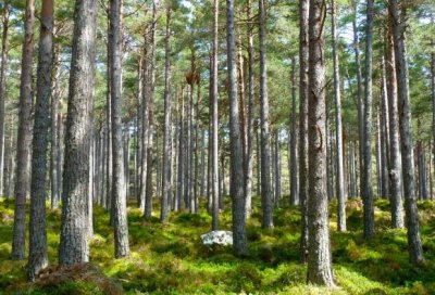 ​励志警句爱因斯坦