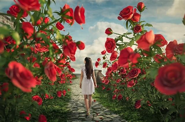 早安心语：发天气预报的说说(40句)