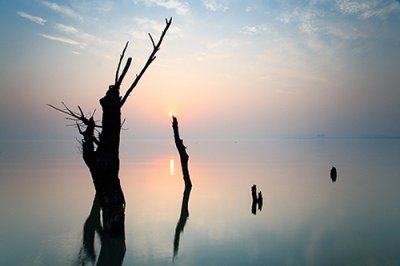 ​百天爸爸妈妈祝福语36句