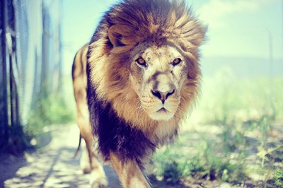 ​结婚纪念日的英文祝福语结婚纪念日祝福语英文(49句)