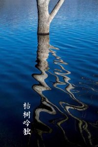 ​写一些关于爱的格言 有关爱的名言警句谚语