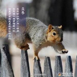 ​科技创新的名言名句 关于创新发展的名言