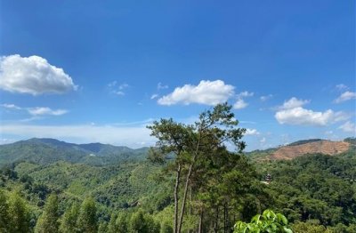 ​女生史上最浪漫的网名(精选216个)