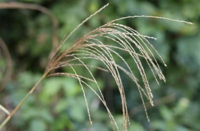 ​怀念最初的自己说说,丢了最初的自己的句子(25句)