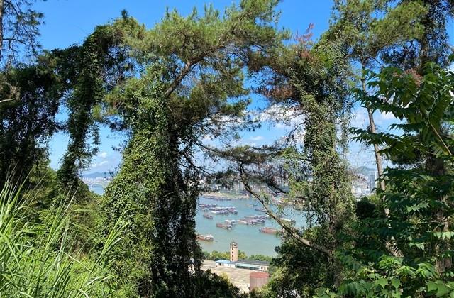 垃圾桶标语宣传语