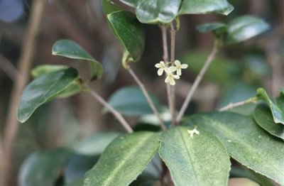 ​爱上已婚的人心痛句子(精选37句)