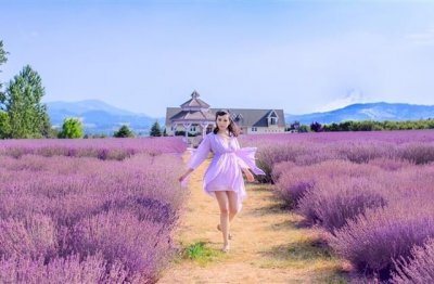 ​适合发朋友圈简单干净的句子