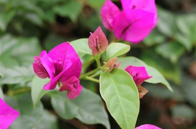 食品公司名字大全