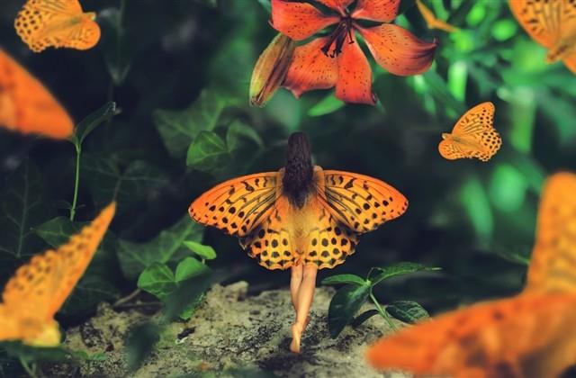 大文豪的名言名句