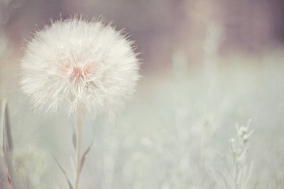 ​关于爱的名言警句英文